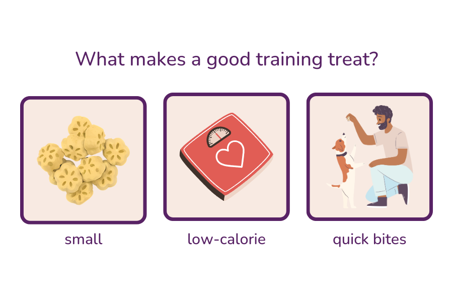 what makes a good training treat infographic