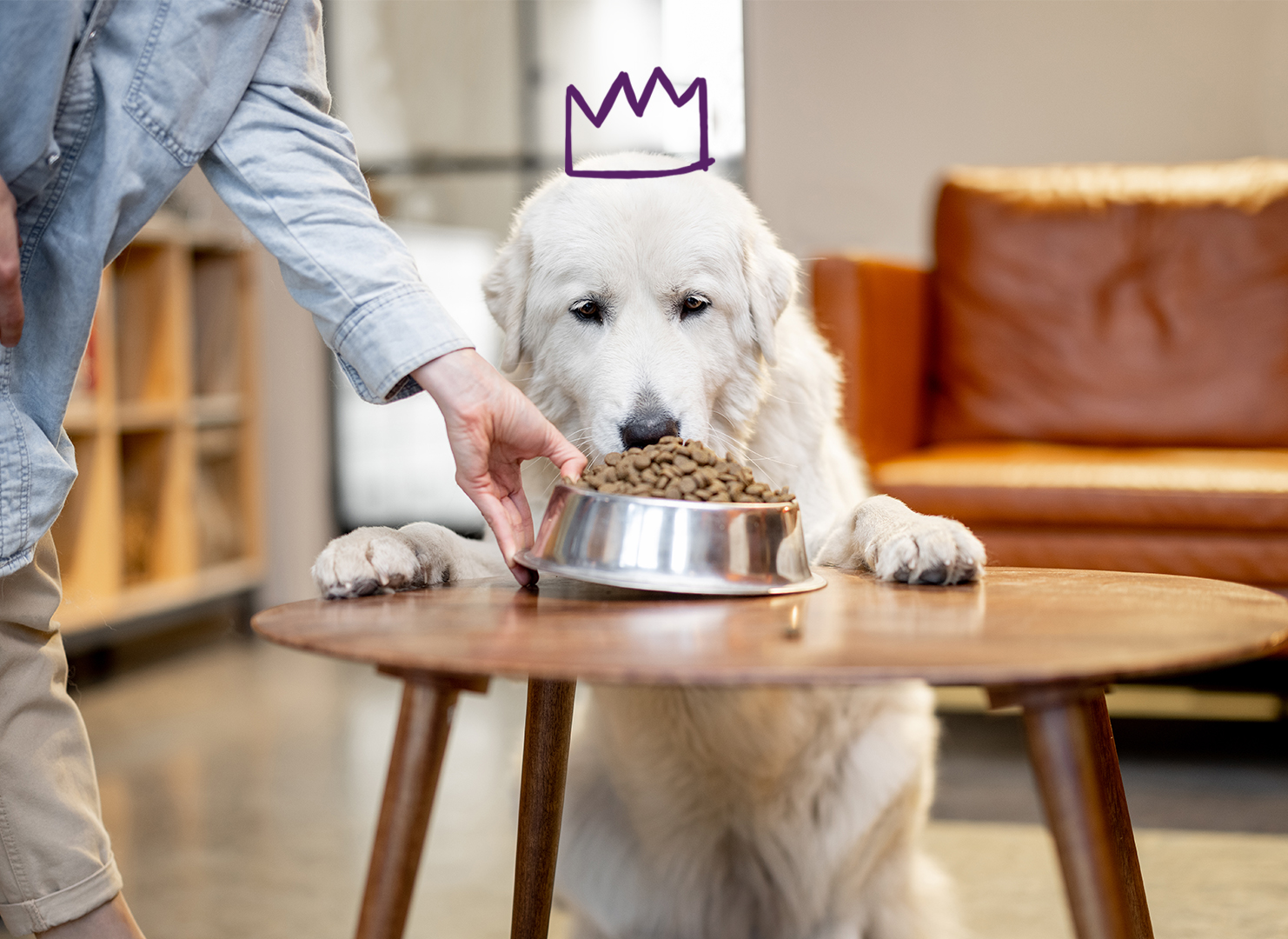 Fun Healthy Ways to Spoil Your Pup #SpoilYourPupBBxx - Golden Woofs