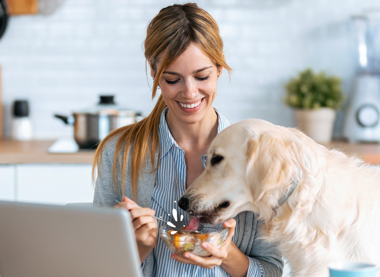 should you give yogurt to dogs